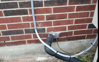 How often Furnace Maintenance in Austin, Texas?